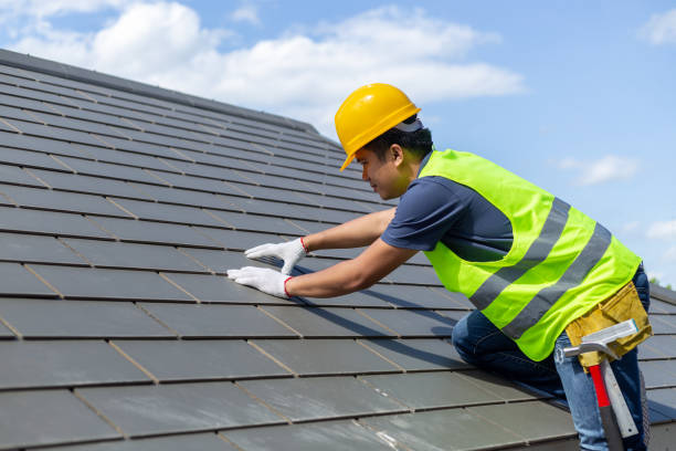 Best Shingle Roofing Installation  in Steelevle, IL