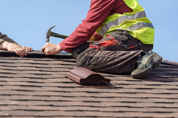 Best Affordable Roof Replacement  in Steelevle, IL