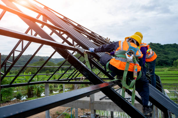 Best Roof Gutter Cleaning  in Steelevle, IL