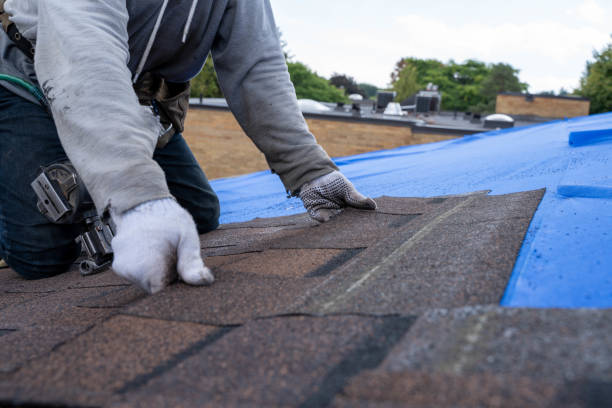 Best Residential Roofing Contractor  in Steelevle, IL