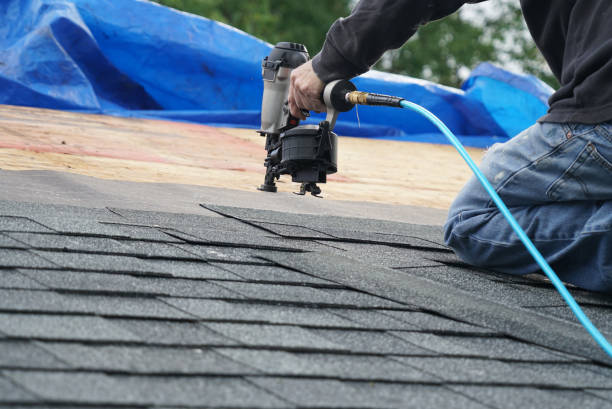 Best Roof Leak Repair  in Steelevle, IL