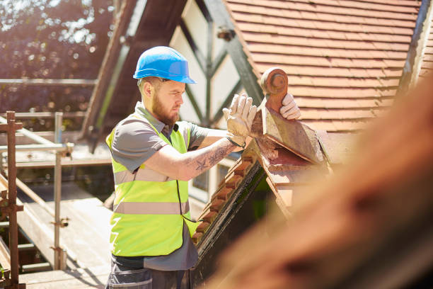 Best Roof Maintenance Services  in Steelevle, IL