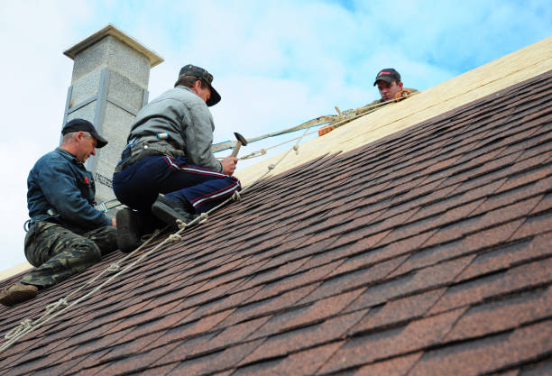 Best Best Roofing Contractors  in Steelevle, IL