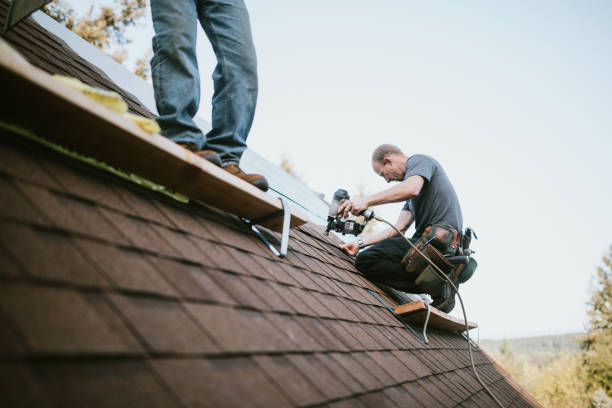 Best Roof Restoration Services  in Steelevle, IL