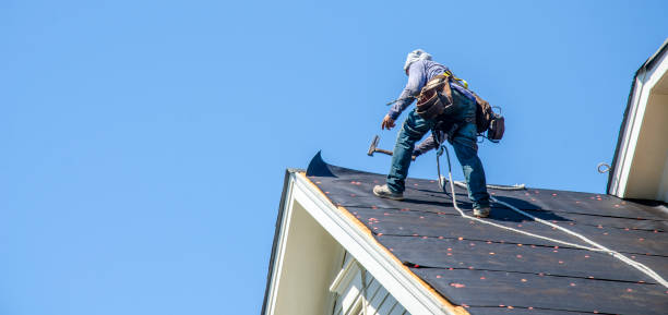 Best Emergency Roof Repair  in Steelevle, IL